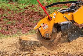 Best Hazardous Tree Removal  in Westhaven Moonstone, CA