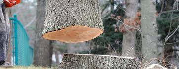 Best Emergency Tree Removal  in Westhaven Moonstone, CA